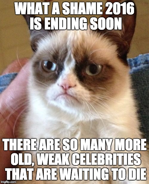 Grumpy Cat | WHAT A SHAME 2016 IS ENDING SOON; THERE ARE SO MANY MORE OLD, WEAK CELEBRITIES THAT ARE WAITING TO DIE | image tagged in memes,grumpy cat | made w/ Imgflip meme maker