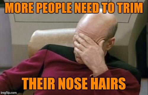 Maintenance, people! | MORE PEOPLE NEED TO TRIM; THEIR NOSE HAIRS | image tagged in memes,captain picard facepalm,sewmyeyesshut | made w/ Imgflip meme maker