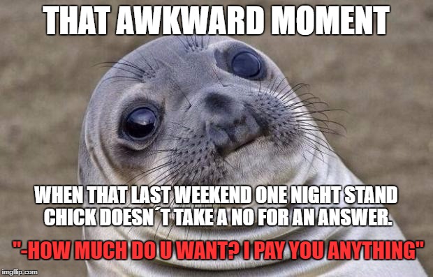 Awkward Moment Sealion Meme | THAT AWKWARD MOMENT; WHEN THAT LAST WEEKEND ONE NIGHT STAND CHICK DOESN´T TAKE A NO FOR AN ANSWER. "-HOW MUCH DO U WANT? I PAY YOU ANYTHING" | image tagged in memes,awkward moment sealion | made w/ Imgflip meme maker