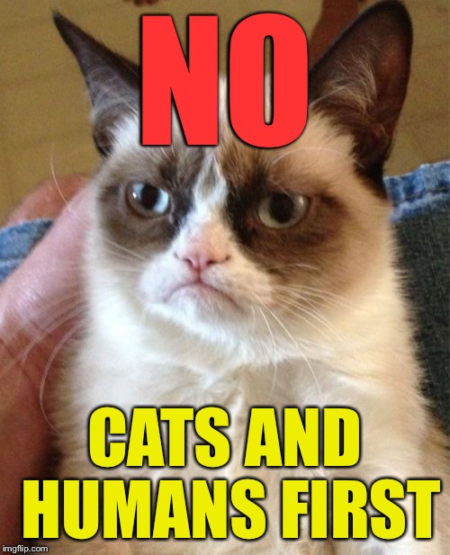 Grumpy Cat Meme | NO CATS AND HUMANS FIRST | image tagged in memes,grumpy cat | made w/ Imgflip meme maker