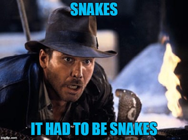 No Time To Meme Dr. Jones! | SNAKES; IT HAD TO BE SNAKES | image tagged in indiana jones - it had to be snakes,snakes,indiana jones snakes,my templates challenge | made w/ Imgflip meme maker