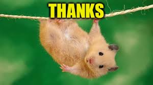 THANKS | made w/ Imgflip meme maker