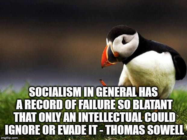 Unpopular Opinion Puffin | SOCIALISM IN GENERAL HAS A RECORD OF FAILURE SO BLATANT THAT ONLY AN INTELLECTUAL COULD IGNORE OR EVADE IT - THOMAS SOWELL | image tagged in memes,unpopular opinion puffin | made w/ Imgflip meme maker