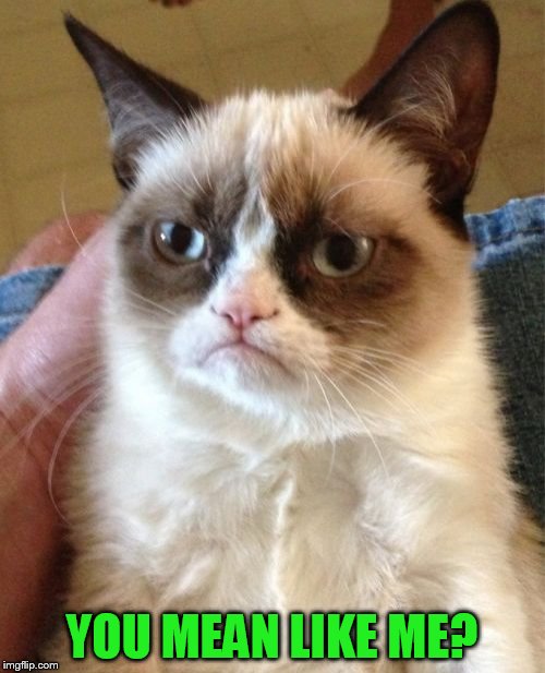 Grumpy Cat Meme | YOU MEAN LIKE ME? | image tagged in memes,grumpy cat | made w/ Imgflip meme maker