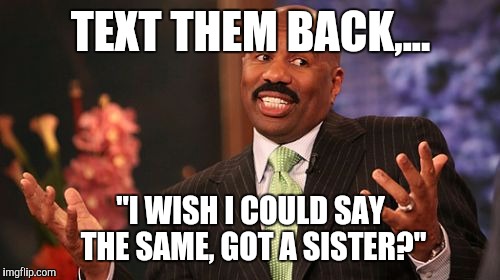 TEXT THEM BACK,... "I WISH I COULD SAY THE SAME, GOT A SISTER?" | image tagged in memes,steve harvey | made w/ Imgflip meme maker
