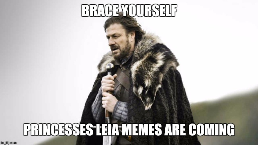 Leia | BRACE YOURSELF; PRINCESSES LEIA MEMES ARE COMING | image tagged in brace yourself,princess leia,star wars,carrie fisher,funny memes,died in 2016 | made w/ Imgflip meme maker