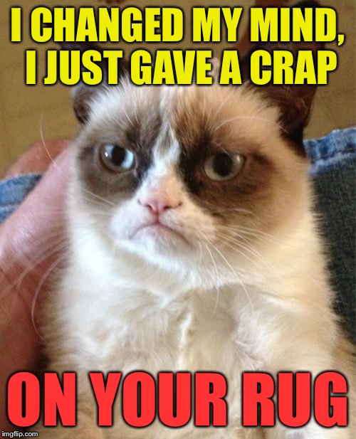 Grumpy Cat Meme | I CHANGED MY MIND, I JUST GAVE A CRAP ON YOUR RUG | image tagged in memes,grumpy cat | made w/ Imgflip meme maker