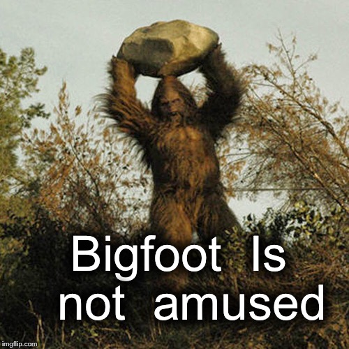 Bigfoot not amused | Bigfoot  Is  not  amused | image tagged in memes | made w/ Imgflip meme maker