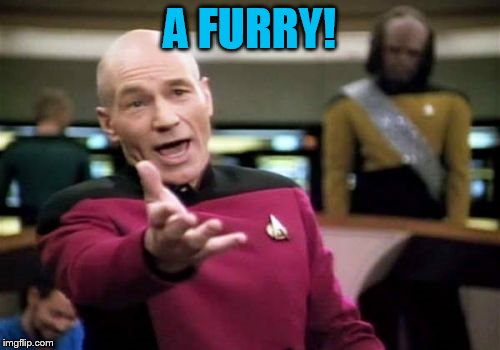 Picard Wtf Meme | A FURRY! | image tagged in memes,picard wtf | made w/ Imgflip meme maker