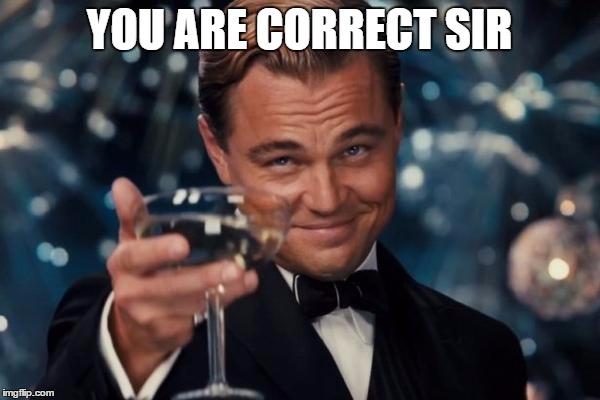 Leonardo Dicaprio Cheers Meme | YOU ARE CORRECT SIR | image tagged in memes,leonardo dicaprio cheers | made w/ Imgflip meme maker
