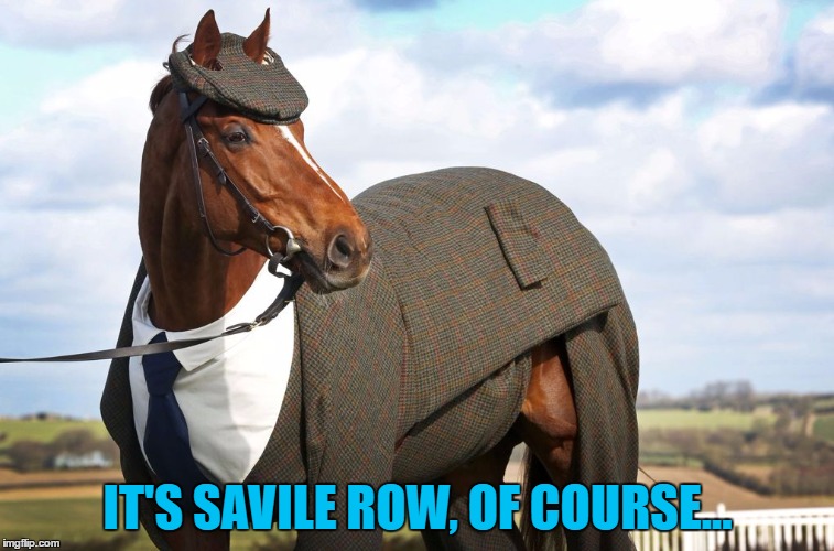 He's very particular about his clothes... | IT'S SAVILE ROW, OF COURSE... | image tagged in sophisticated horse,memes,animals,savile row,horses,fashion | made w/ Imgflip meme maker