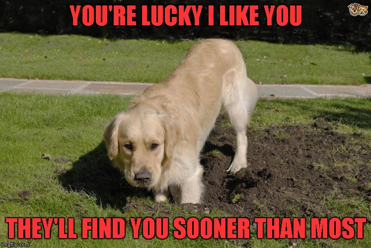 YOU'RE LUCKY I LIKE YOU THEY'LL FIND YOU SOONER THAN MOST | made w/ Imgflip meme maker