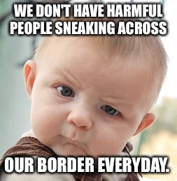 Skeptical Baby Meme | WE DON'T HAVE HARMFUL PEOPLE SNEAKING ACROSS OUR BORDER EVERYDAY. | image tagged in memes,skeptical baby | made w/ Imgflip meme maker