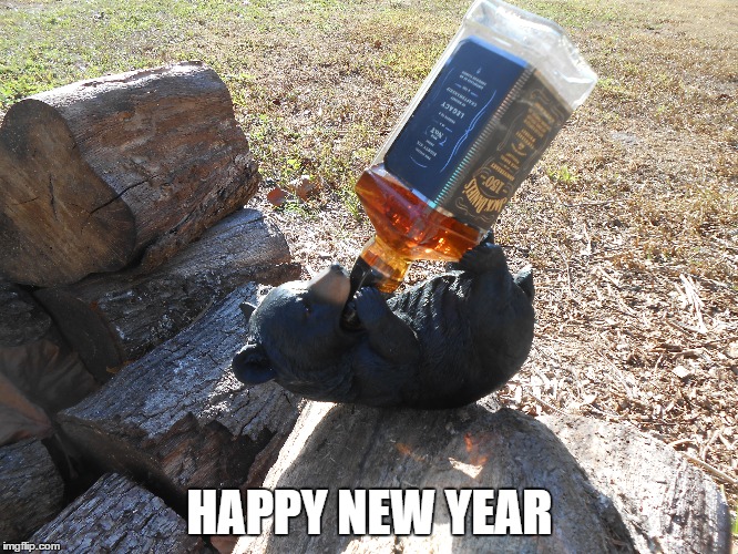 happy new year | HAPPY NEW YEAR | image tagged in bear,new year | made w/ Imgflip meme maker