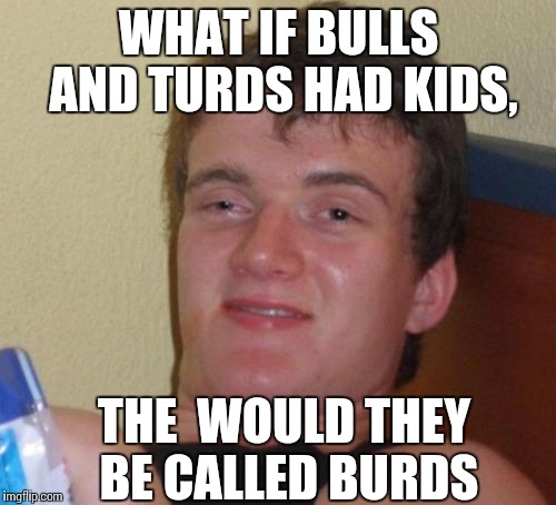 10 Guy | WHAT IF BULLS AND TURDS HAD KIDS, THE  WOULD THEY BE CALLED BURDS | image tagged in memes,10 guy | made w/ Imgflip meme maker