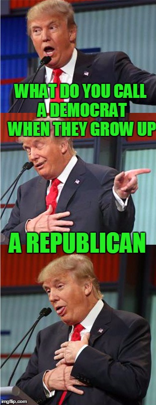 Don't get mad at me, Trump said it. | WHAT DO YOU CALL A DEMOCRAT WHEN THEY GROW UP; A REPUBLICAN | image tagged in bad pun trump | made w/ Imgflip meme maker