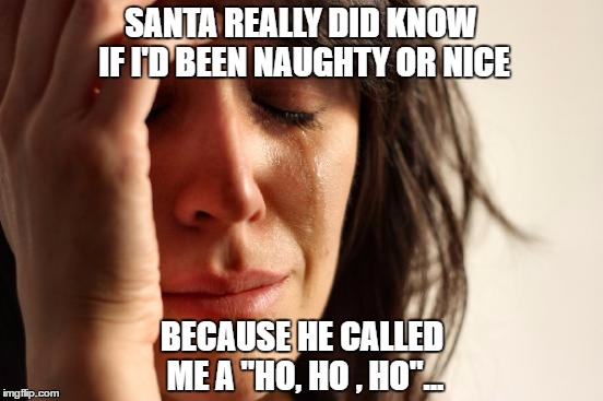 First World Problems Meme | SANTA REALLY DID KNOW IF I'D BEEN NAUGHTY OR NICE; BECAUSE HE CALLED ME A "HO, HO , HO"... | image tagged in memes,first world problems | made w/ Imgflip meme maker