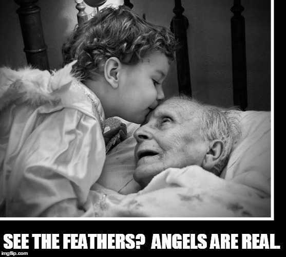 That Moment You Know the Truth | SEE THE FEATHERS?  ANGELS ARE REAL. | image tagged in vince vance,angels among us,old man being kissed by child,death's door,last kiss | made w/ Imgflip meme maker