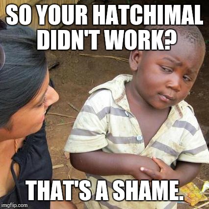 Third World Skeptical Kid | SO YOUR HATCHIMAL DIDN'T WORK? THAT'S A SHAME. | image tagged in memes,third world skeptical kid | made w/ Imgflip meme maker