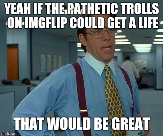 That Would Be Great | YEAH IF THE PATHETIC TROLLS ON IMGFLIP COULD GET A LIFE; THAT WOULD BE GREAT | image tagged in memes,that would be great | made w/ Imgflip meme maker