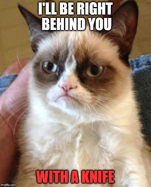 Grumpy Cat Meme | I'LL BE RIGHT BEHIND YOU WITH A KNIFE | image tagged in memes,grumpy cat | made w/ Imgflip meme maker
