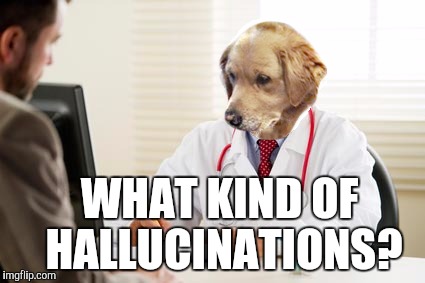 Tell me about it | WHAT KIND OF HALLUCINATIONS? | image tagged in doctor dog no idea what i'm doing | made w/ Imgflip meme maker