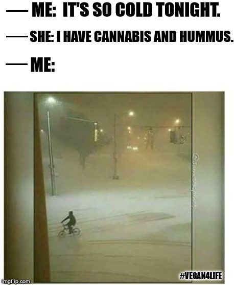 Ready to challenge any challenges for hummus...and weed | ME:  IT'S SO COLD TONIGHT. SHE: I HAVE CANNABIS AND HUMMUS. ME:; #VEGAN4LIFE | image tagged in memes,funny memes,weed,hummus,vegan4life,snow storm | made w/ Imgflip meme maker