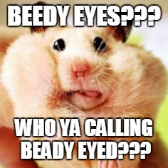 when the gag reflex set in.. | BEEDY EYES??? WHO YA CALLING BEADY EYED??? | image tagged in when the gag reflex set in | made w/ Imgflip meme maker