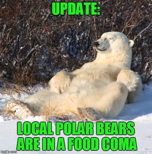 UPDATE: LOCAL POLAR BEARS ARE IN A FOOD COMA | made w/ Imgflip meme maker