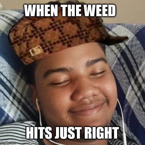 Good stuff | WHEN THE WEED; HITS JUST RIGHT | image tagged in funny,memes | made w/ Imgflip meme maker