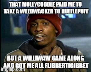 so... | THAT MOLLYCODDLE PAID ME TO TAKE A WEEDWACKER TO HUFFLEPUFF; BUT A WILLIWAW CAME ALONG AND GOT ME ALL FLIBBERTIGIBBET | image tagged in memes,yall got any more of | made w/ Imgflip meme maker