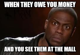 Kevin Hart Meme | WHEN THEY OWE YOU MONEY; AND YOU SEE THEM AT THE MALL | image tagged in memes,kevin hart the hell | made w/ Imgflip meme maker