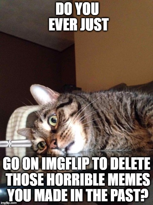Existential Crisis Cat | DO YOU EVER JUST; GO ON IMGFLIP TO DELETE THOSE HORRIBLE MEMES YOU MADE IN THE PAST? | image tagged in existential crisis cat | made w/ Imgflip meme maker