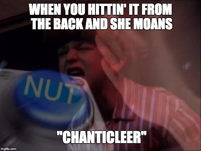 WHEN YOU HITTIN' IT FROM THE BACK AND SHE MOANS; "CHANTICLEER" | image tagged in nuttin' chanticleer | made w/ Imgflip meme maker