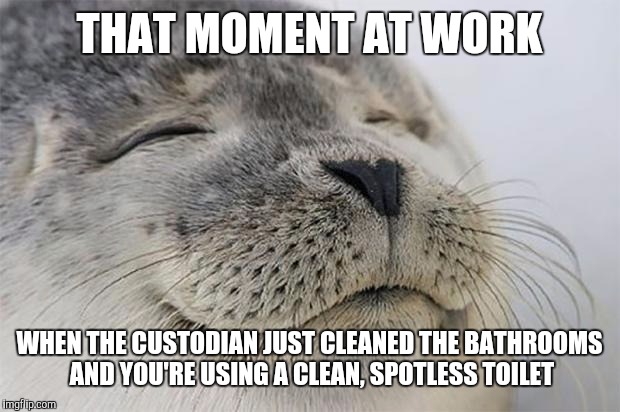 We Have Good Custodians, BTW | THAT MOMENT AT WORK; WHEN THE CUSTODIAN JUST CLEANED THE BATHROOMS AND YOU'RE USING A CLEAN, SPOTLESS TOILET | image tagged in memes,satisfied seal,bathroom,work,politics,funny | made w/ Imgflip meme maker