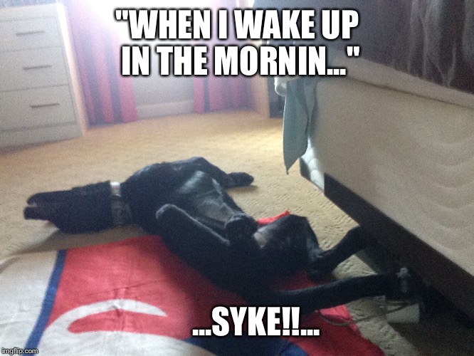 True Life Situations | "WHEN I WAKE UP IN THE MORNIN..."; ...SYKE!!... | image tagged in funny memes | made w/ Imgflip meme maker