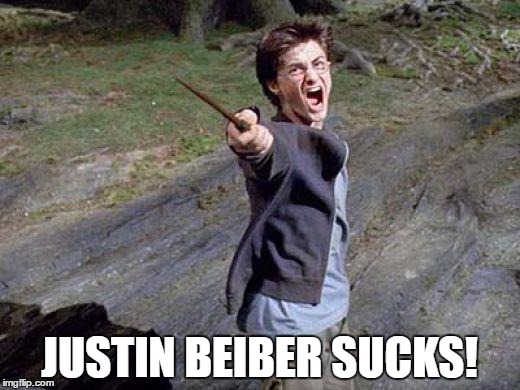 You tell 'em harry! | JUSTIN BEIBER SUCKS! | image tagged in harry potter yelling | made w/ Imgflip meme maker