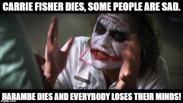 And everybody loses their minds Meme | CARRIE FISHER DIES, SOME PEOPLE ARE SAD. HARAMBE DIES AND EVERYBODY LOSES THEIR MINDS! | image tagged in memes,and everybody loses their minds | made w/ Imgflip meme maker