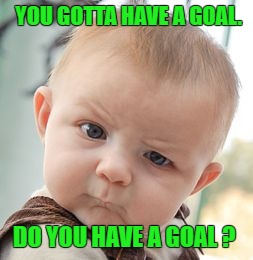 Skeptical Baby Meme | YOU GOTTA HAVE A GOAL. DO YOU HAVE A GOAL ? | image tagged in memes,skeptical baby | made w/ Imgflip meme maker