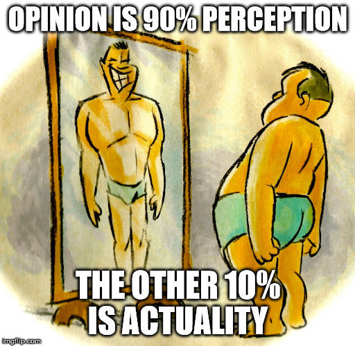 OPINION IS 90% PERCEPTION; THE OTHER 10% IS ACTUALITY | image tagged in inspiration,truth,launchpadradio | made w/ Imgflip meme maker