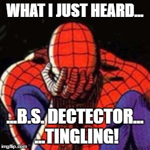 Sad Spiderman Meme | WHAT I JUST HEARD... ...B.S. DECTECTOR... ...TINGLING! | image tagged in memes,sad spiderman,spiderman | made w/ Imgflip meme maker