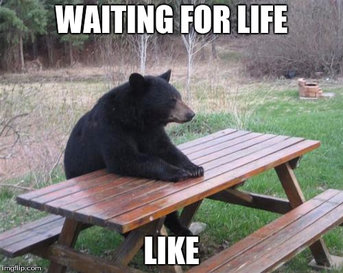 Bad Luck Bear | WAITING FOR LIFE; LIKE | image tagged in memes,bad luck bear | made w/ Imgflip meme maker