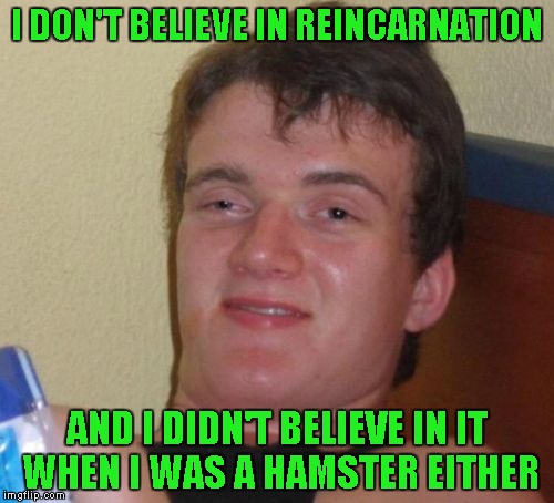 Do you believe? | I DON'T BELIEVE IN REINCARNATION; AND I DIDN'T BELIEVE IN IT WHEN I WAS A HAMSTER EITHER | image tagged in memes,10 guy,funny,reincarnation | made w/ Imgflip meme maker
