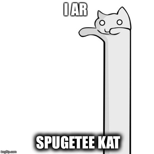 I AR; SPUGETEE KAT | image tagged in spaghetti cat | made w/ Imgflip meme maker