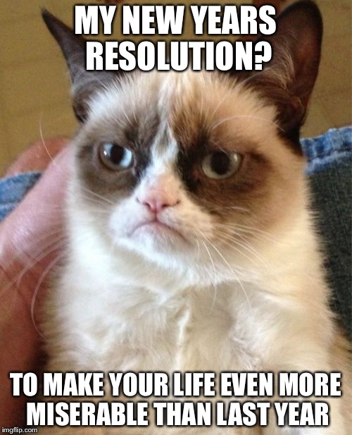 Grumpy Cat Meme | MY NEW YEARS RESOLUTION? TO MAKE YOUR LIFE EVEN MORE MISERABLE THAN LAST YEAR | image tagged in memes,grumpy cat | made w/ Imgflip meme maker