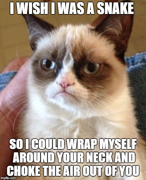 Grumpy Cat Meme | I WISH I WAS A SNAKE; SO I COULD WRAP MYSELF AROUND YOUR NECK AND CHOKE THE AIR OUT OF YOU | image tagged in memes,grumpy cat | made w/ Imgflip meme maker