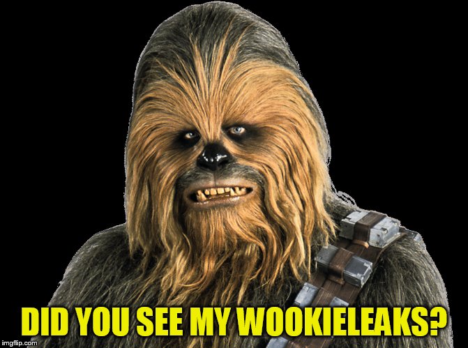 DID YOU SEE MY WOOKIELEAKS? | made w/ Imgflip meme maker