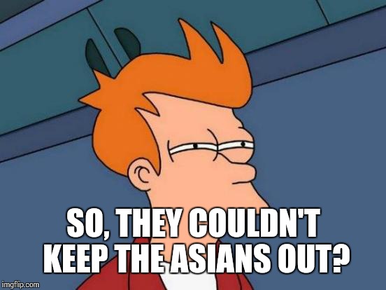 Futurama Fry Meme | SO, THEY COULDN'T KEEP THE ASIANS OUT? | image tagged in memes,futurama fry | made w/ Imgflip meme maker