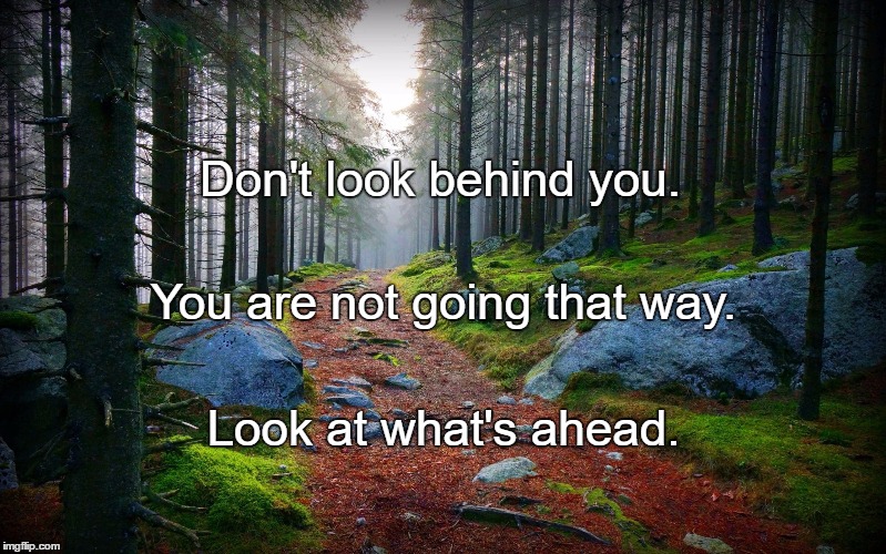 Forest Path | Don't look behind you. You are not going that way. Look at what's ahead. | image tagged in forest path | made w/ Imgflip meme maker