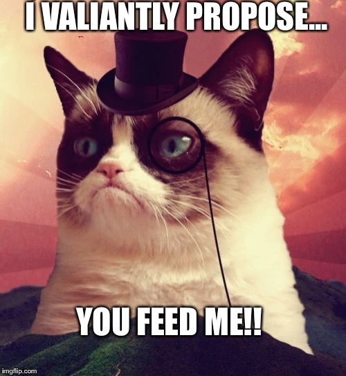 Grumpy Cat Top Hat | I VALIANTLY PROPOSE... YOU FEED ME!! | image tagged in memes,grumpy cat top hat,grumpy cat | made w/ Imgflip meme maker